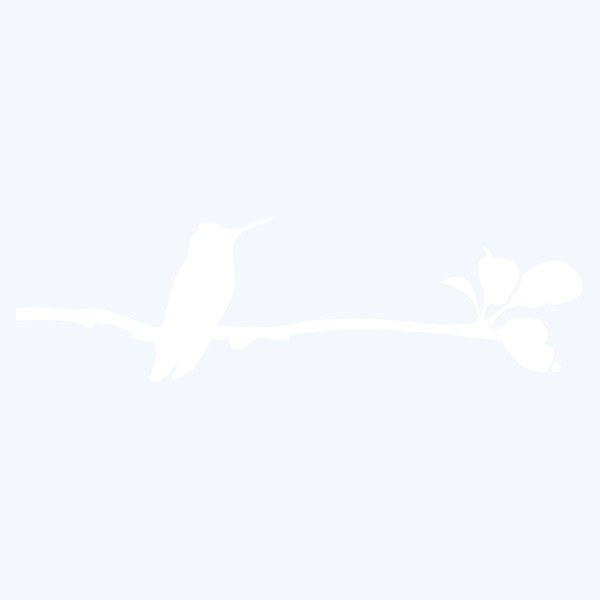 BIRDYONTHEBRANCH