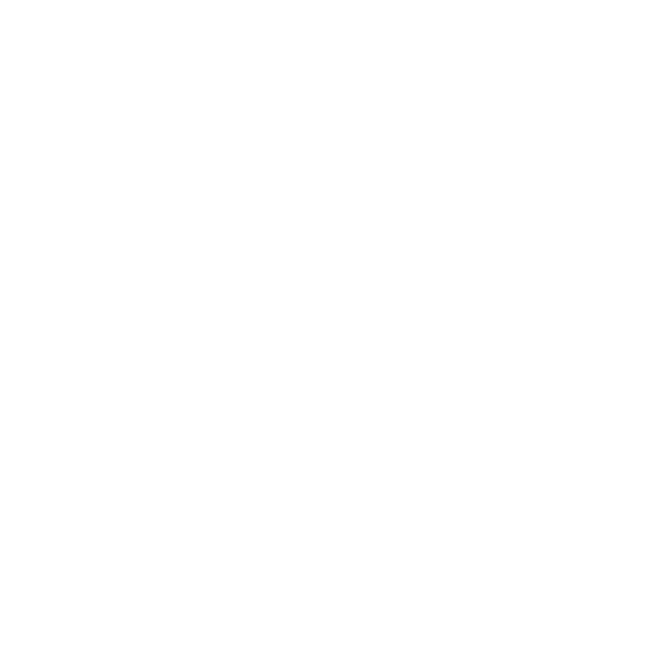 PLANE