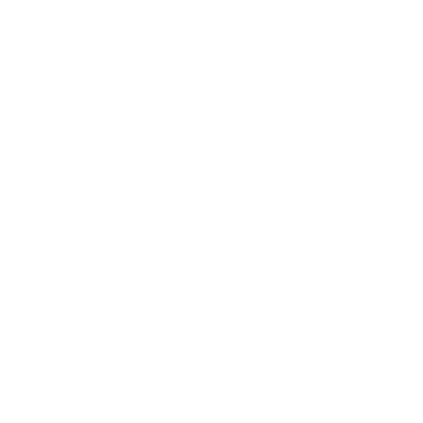 ZEBRASKIN